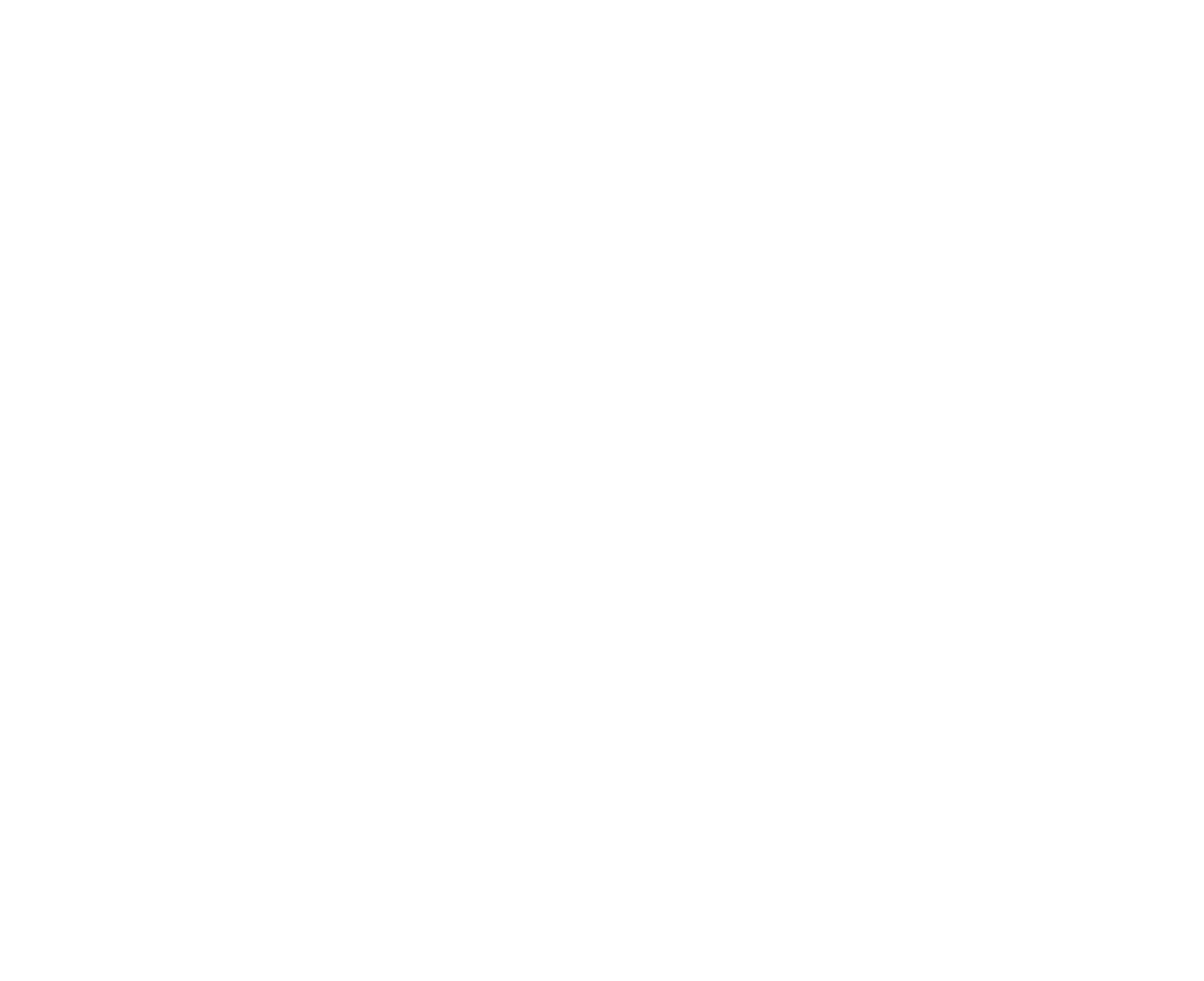 Canada Chips logo